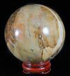 Colorful Petrified Wood Sphere - Oregon #61204-1